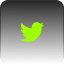 twitter-img