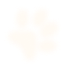 happy-section-bg-paw1