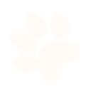 happy-section-bg-paw2