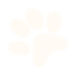 happy-section-bg-paw3