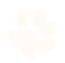 hero-section-bg-paw1