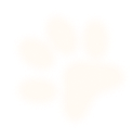 hero-section-bg-paw2