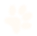 less-talk-sectio-bg-paw1