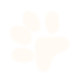 less-talk-sectio-bg-paw2