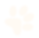nutrition-section-paw4