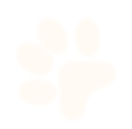 nutrition-section-paw5
