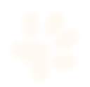 nutrition-section-paw6